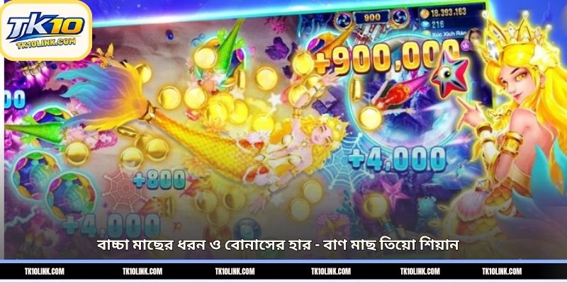 বাচ্চা মাছের ধরন ও বোনাসের হার – বাণ মাছ তিয়ো শিয়ান