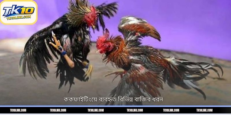 ককফাইটিংয়ে ব্যবহৃত বিভিন্ন বাজির ধরন