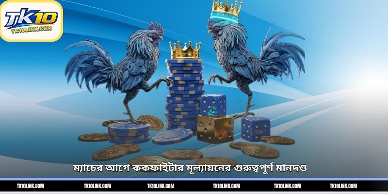 ম্যাচের আগে ককফাইটার মূল্যায়নের গুরুত্বপূর্ণ মানদণ্ড