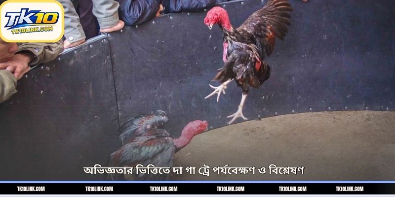 অভিজ্ঞতার ভিত্তিতে দা গা ট্রে পর্যবেক্ষণ ও বিশ্লেষণ