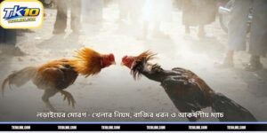 লড়াইয়ের মোরগ – খেলার নিয়ম, বাজির ধরন ও আকর্ষণীয় ম্যাচ 