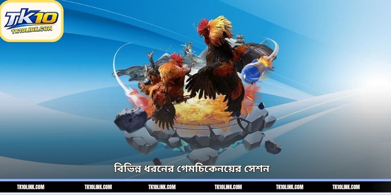বিভিন্ন ধরনের গেমচিকেনয়ের সেশন